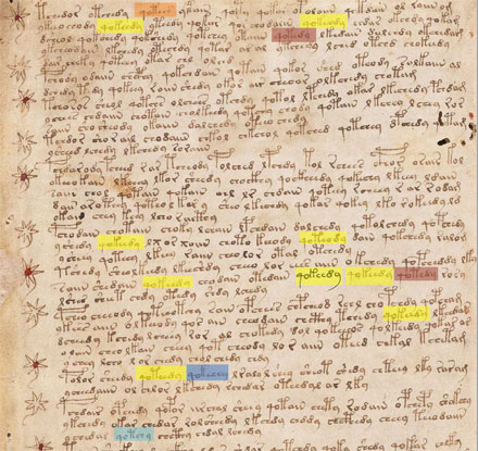 Voynich-Manuskript