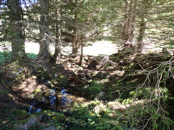 Mürtschenalp